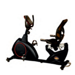 Fitking R 302 Magnetic Recumbent Bike | Cardio Exercise Machine